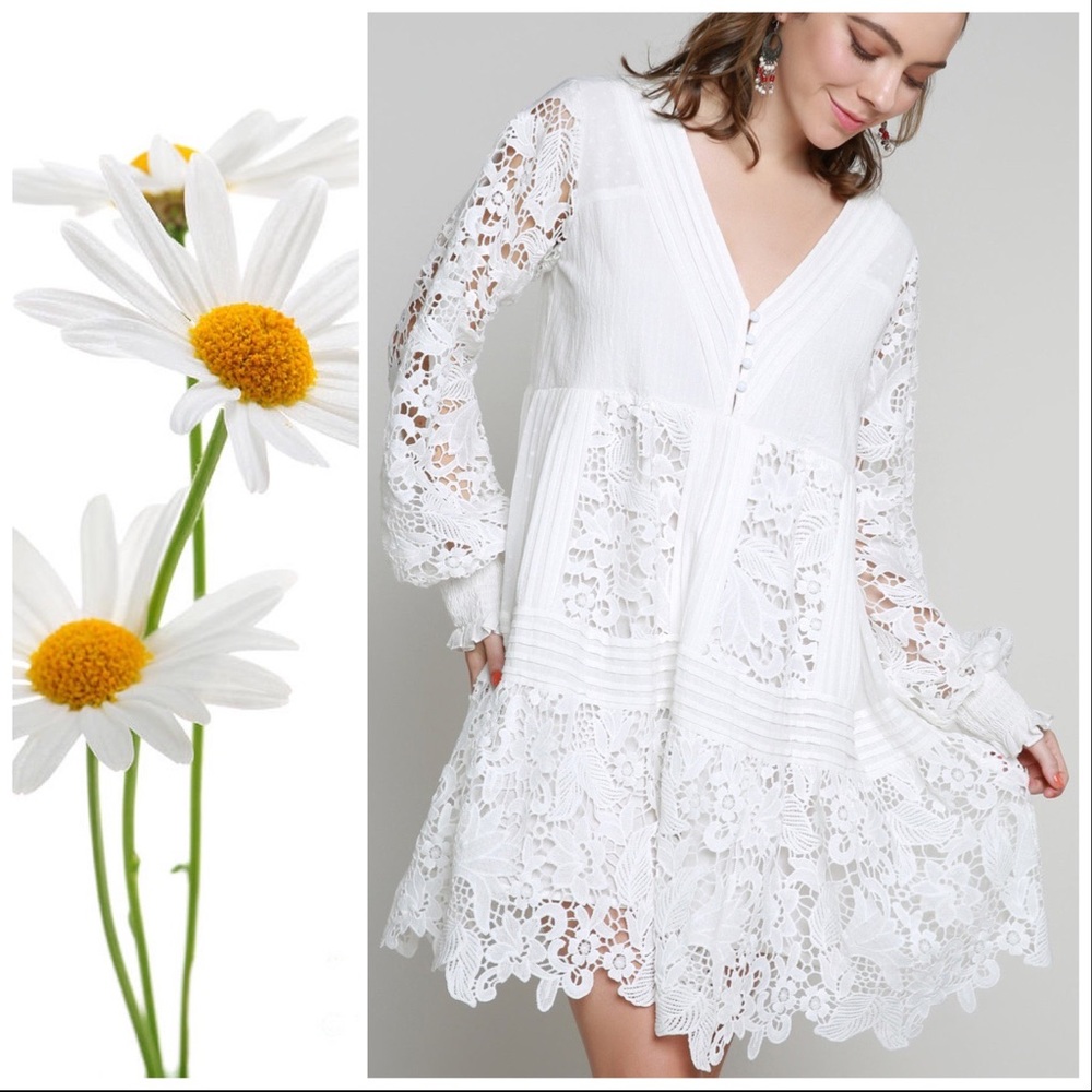 POL Romance Lovely White Lace Dress - Picture 5 of 11